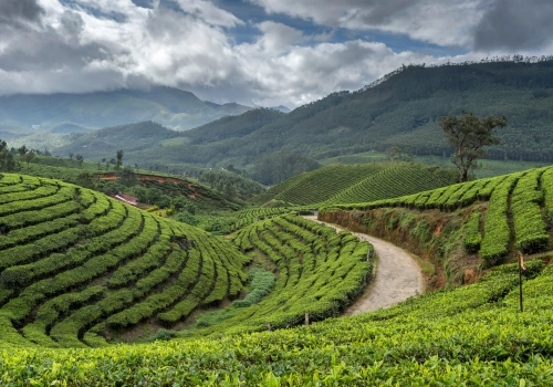 Darjeeling & Sikkim – tour from Guwahati